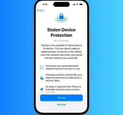 靖安苹果授权维修店分享被盗设备保护功能开启方法 