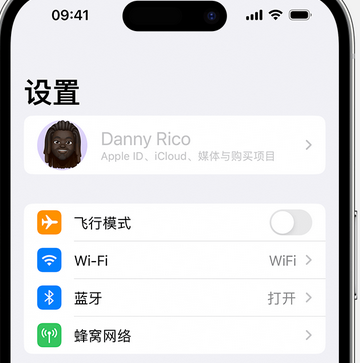 靖安appleID维修服务iPhone设置中Apple ID显示为灰色无法使用 