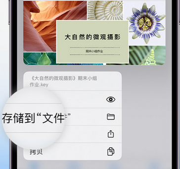 靖安apple维修中心分享iPhone文件应用中存储和找到下载文件