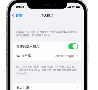 靖安apple服务站点分享iPhone上个人热点丢失了怎么办 