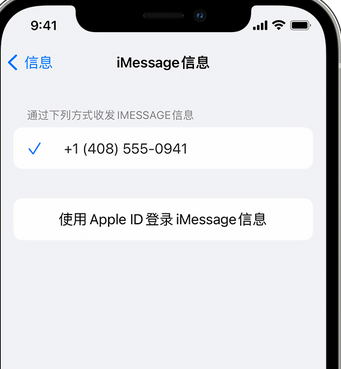 靖安apple维修iPhone上无法正常发送iMessage信息 