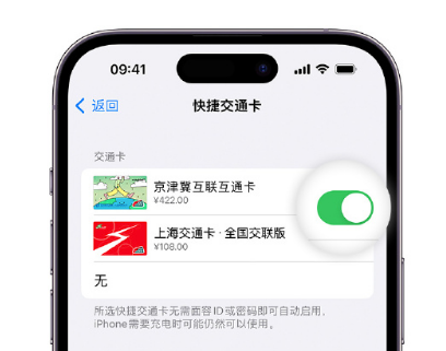 靖安apple维修点分享iPhone上更换Apple Pay快捷交通卡手绘卡面 