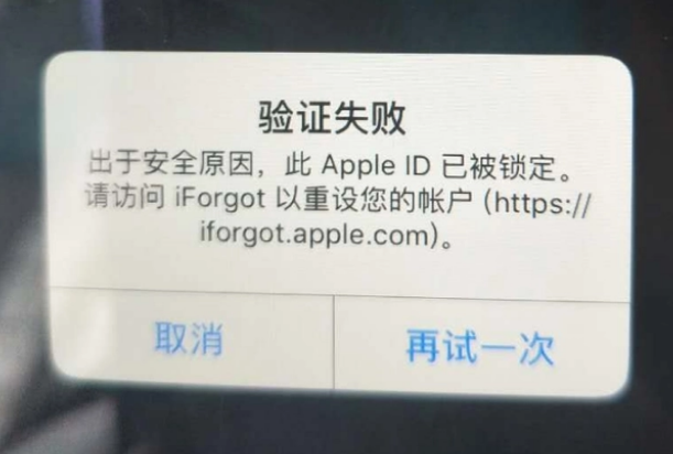 靖安iPhone维修分享iPhone上正常登录或使用AppleID怎么办 