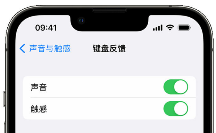 靖安苹果手机维修分享iPhone 14触感键盘使用方法 