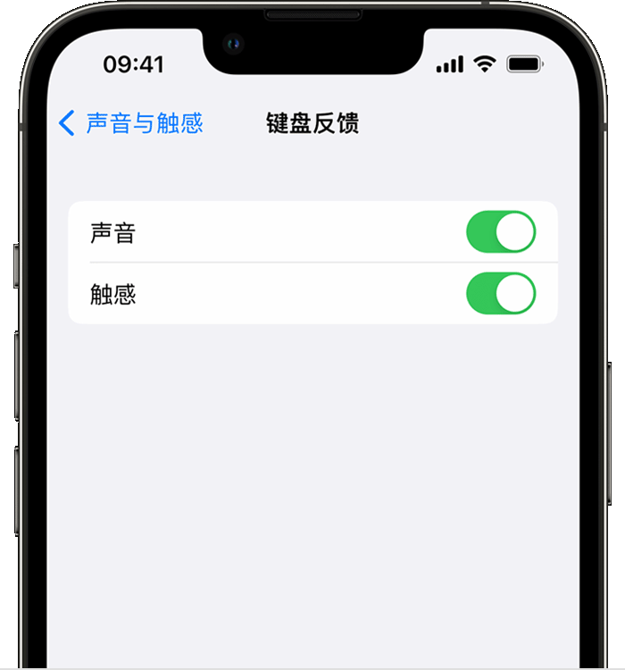 靖安苹果14维修店分享如何在 iPhone 14 机型中使用触感键盘 