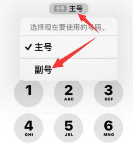 靖安苹果14维修店分享iPhone 14 Pro Max使用副卡打电话的方法 