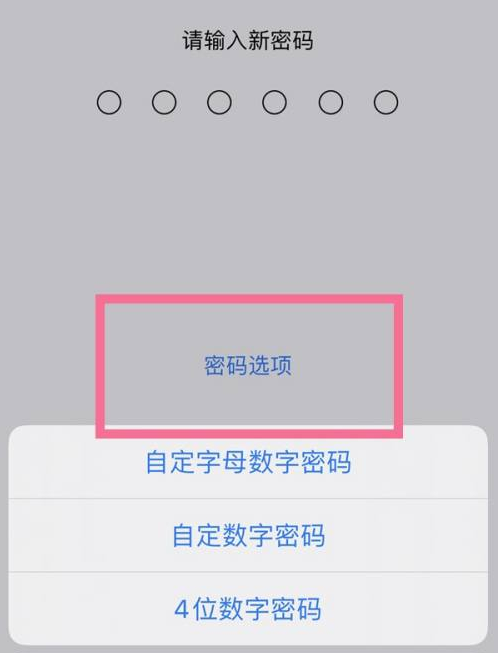 靖安苹果14维修分享iPhone 14plus设置密码的方法 