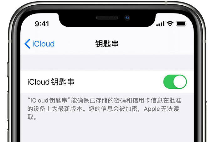 靖安苹果手机维修分享在 iPhone 上开启 iCloud 钥匙串之后会储存哪些信息 