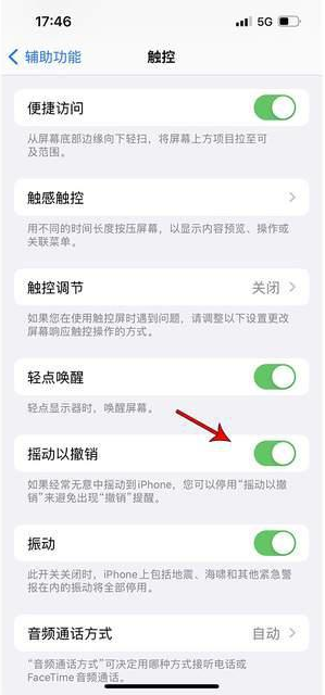 靖安苹果手机维修分享iPhone手机如何设置摇一摇删除文字 