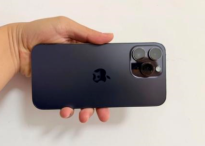 靖安苹果维修点分享iPhone 14 Pro Max黑屏少见故障盘点 
